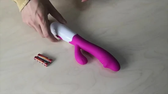 USA Magazzino Vendita calda Realistico Vibratore del coniglio 30 Modalità di velocità Giocattoli del sesso Dildo Clitoride Capezzolo Stimolatore della figa per le donne Vibratore Prodotti per adulti